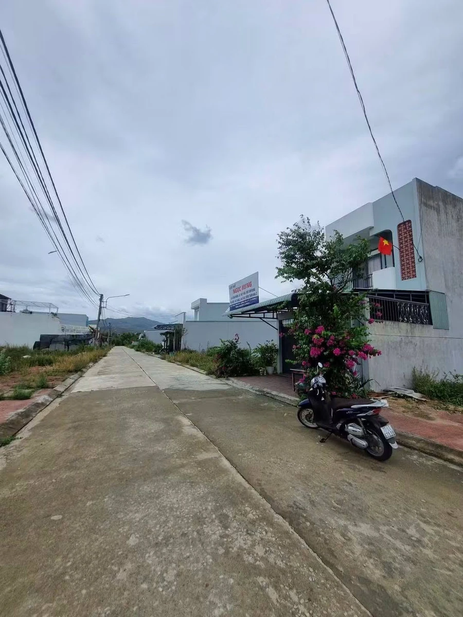 Bán đất 100m2 lộ giới 24m Bùi Thị Xuân Quy Nhơn Tây 1 tỷ 3 triệu - Ảnh thu nhỏ 2