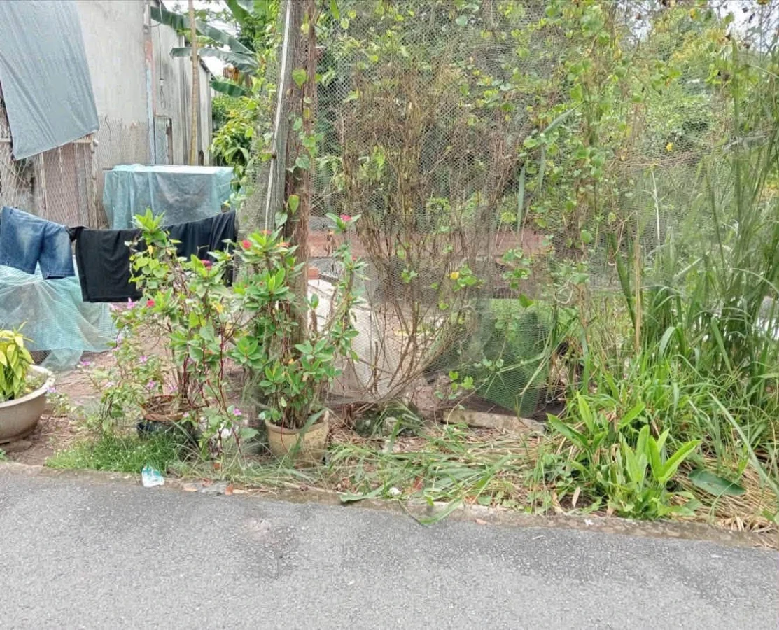 Bán lô đất 4x25x70m trên đường Phú An, Thủ Đức 1 tỷ 80 - Ảnh 1