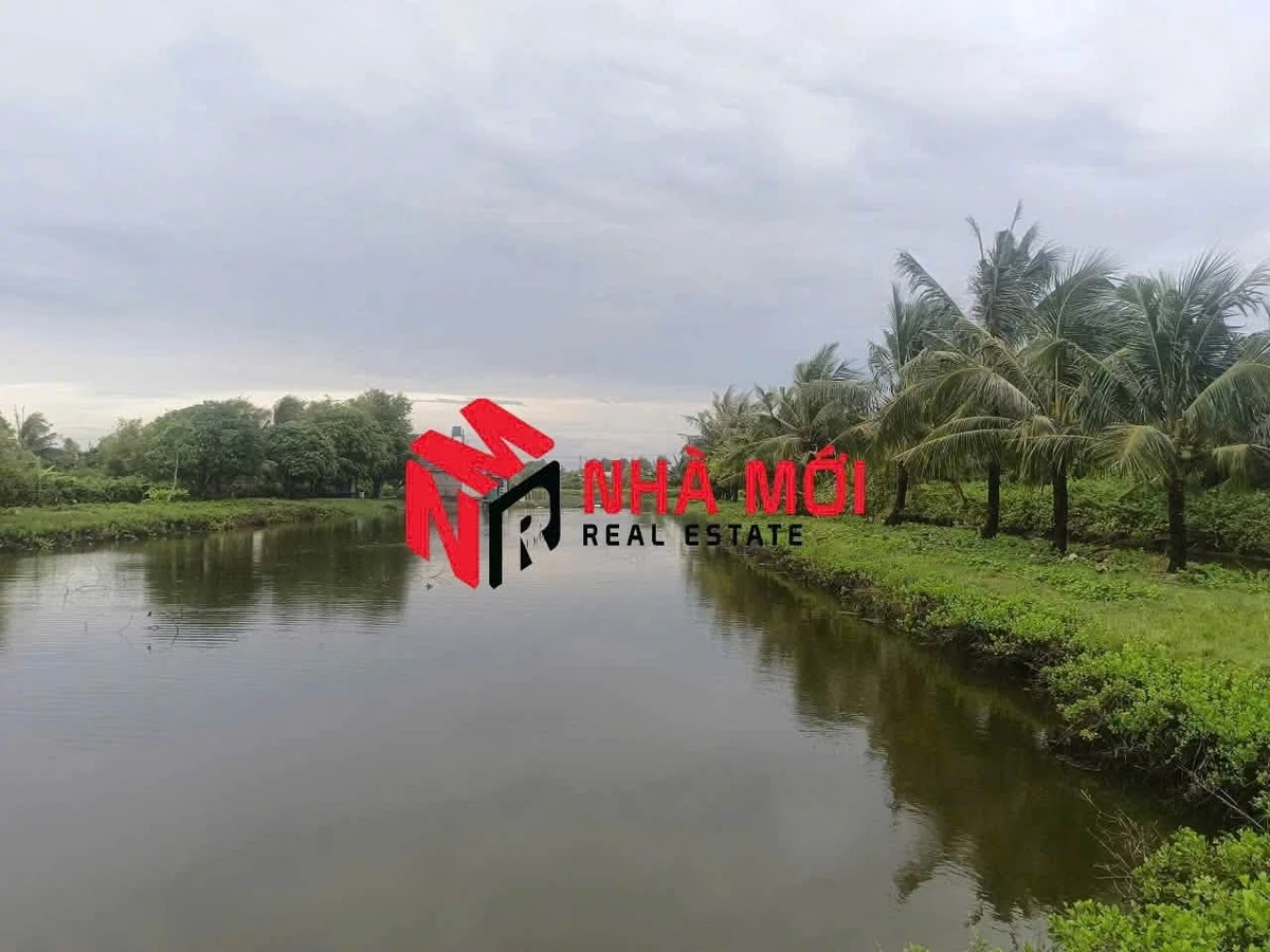 Bán đất vuông 36 công Ấp Cái Cám, Cà Mau - Ảnh thu nhỏ 3