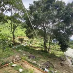 Bán đất sinh thái Đông Anh Nam Ban Lâm Đồng 13000m² 16 tỷ - Ảnh thu nhỏ 5