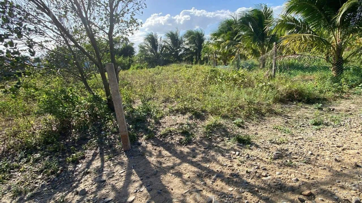 Bán đất Ninh Trung 146m2, 200 triệu - Ảnh thu nhỏ 3