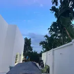 Bán nhà vườn 600m2, 2PN tại Phường Tân An, Bình Chánh - Ảnh thu nhỏ 2