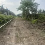 Bán đất tại Giồng Lớn, 7,5 triệu / m2, thổ cư 100%, view đẹp. - Ảnh thu nhỏ 5