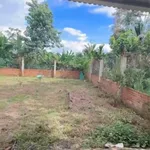 Bán nhà vườn 600m2 Nguyễn Xuân Nguyên, Hóc Môn - Ảnh thu nhỏ 4