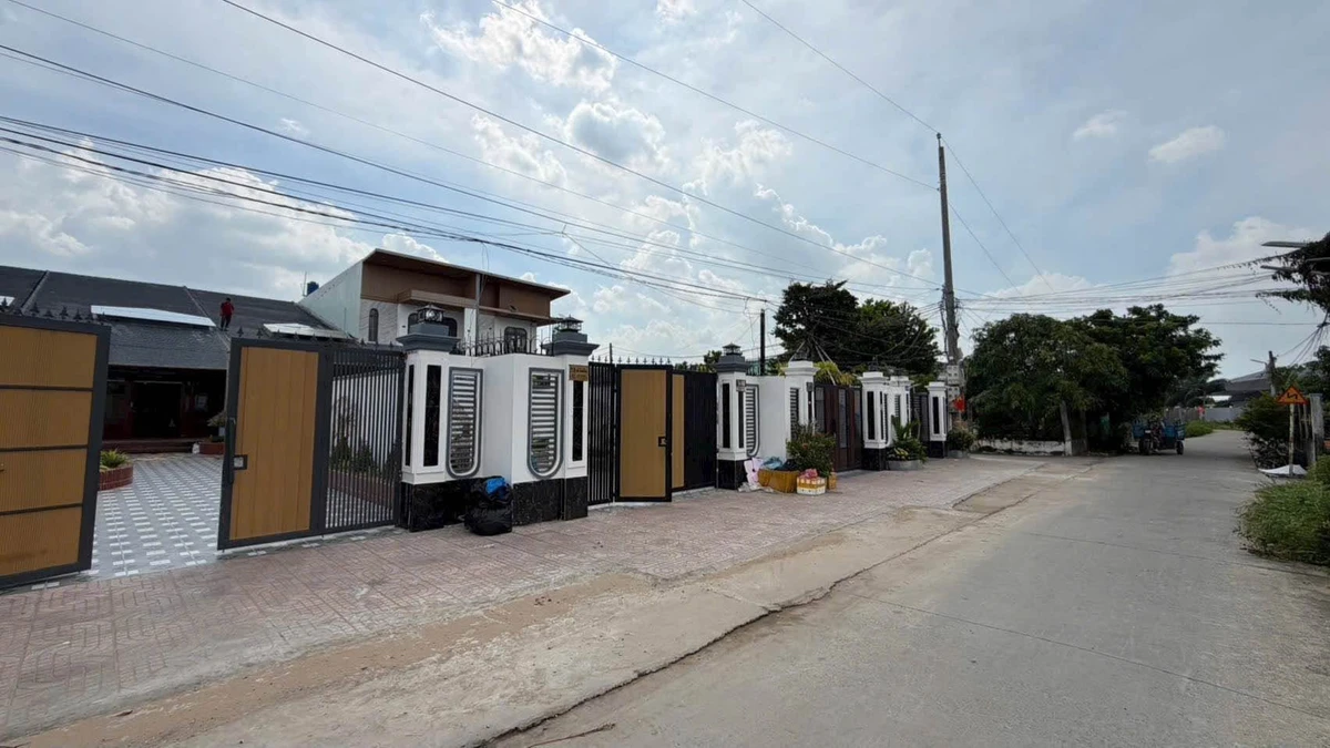Bán nhà sân vườn mái Nhật 300m2 mặt tiền đường kinh doanh, Xã Phước Lý, Cần Giuộc - Ảnh 1