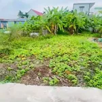 Bán nhà 66 m² Kiều Hạ Tân Phú, giá 700 triệu - Ảnh thu nhỏ 4