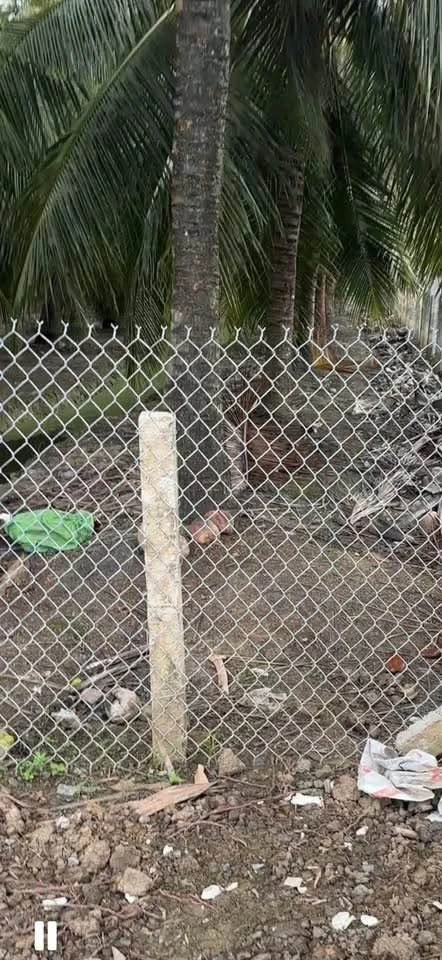Bán 800m² đất mặt tiền Tiền Giang, 820 triệu - Ảnh thu nhỏ 4