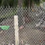 Bán 800m² đất mặt tiền Tiền Giang, 820 triệu - Ảnh thu nhỏ 4