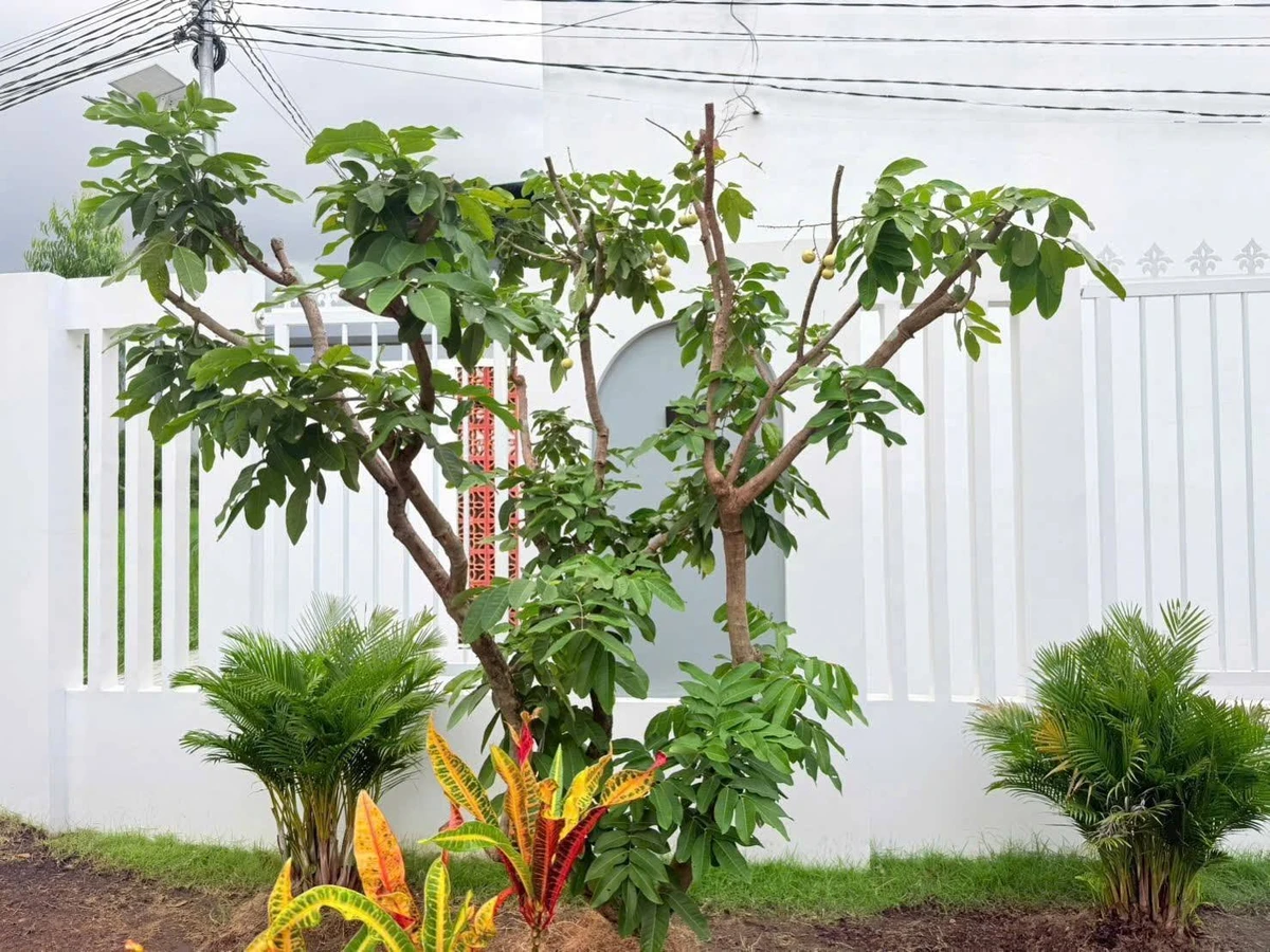 Biệt thự sân vườn 363m² Phú Tân giá 2 tỷ 7 - Ảnh thu nhỏ 4
