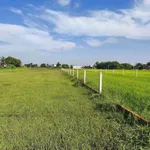 Bán đất làm kho xưởng 870m2 tại Xã Mỹ Hạnh Long An - Ảnh thu nhỏ 3