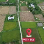 Bán đất Quốc Lộ 28, 750m2 thổ cư, 1 tỷ 250 triệu - Ảnh thu nhỏ 2