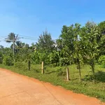 Bán đất Kroa A, Cư M'gar 120m2, đường 10m, 335 triệu - Ảnh thu nhỏ 1