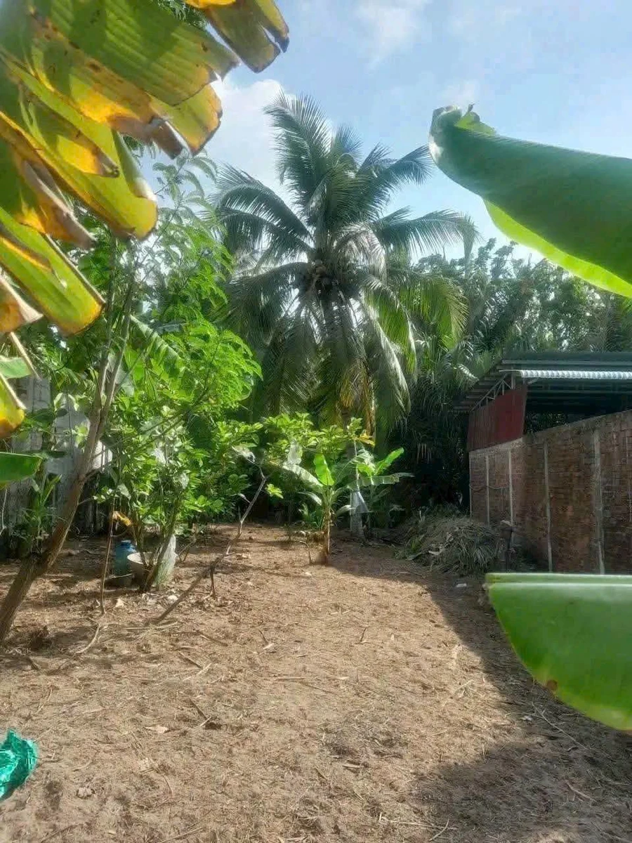 Bán đất mặt tiền Lương Hòa 737m² Bình Chánh - Ảnh thu nhỏ 2