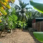 Bán đất mặt tiền Lương Hòa 737m² Bình Chánh - Ảnh thu nhỏ 2