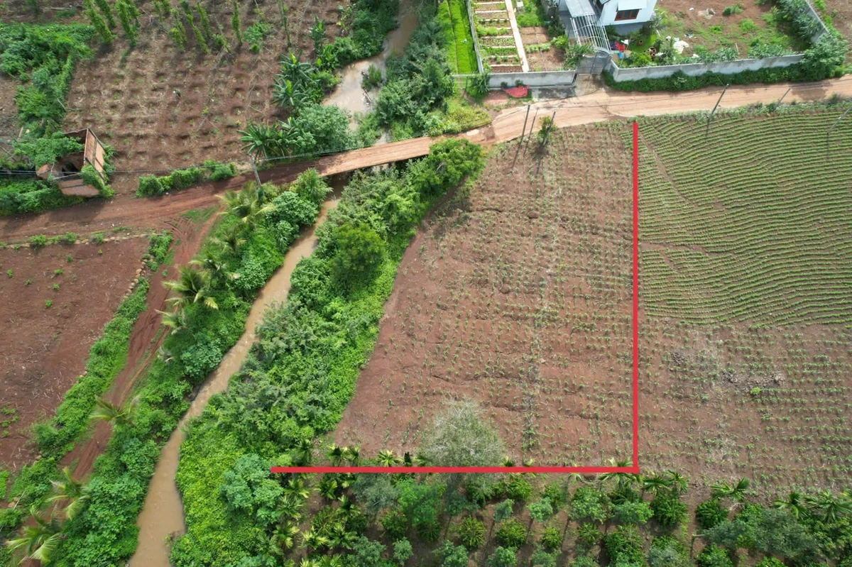 Bán đất sào view suối tại Ea Tiêu, Đắk Lắk 1 tỷ 840 triệu - Ảnh thu nhỏ 4