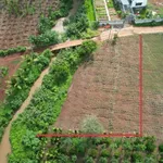 Bán đất sào view suối tại Ea Tiêu, Đắk Lắk 1 tỷ 840 triệu - Ảnh thu nhỏ 4