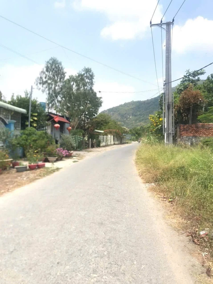 Bán lô đất 1 sào (9920 m²) 2 mặt tiền Phú Mỹ 5.5 tỷ - Ảnh thu nhỏ 5