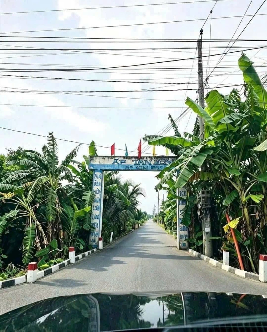 Bán đất 1500m2 hai mặt tiền Long An giá 750tr/1000m2 - Ảnh 1