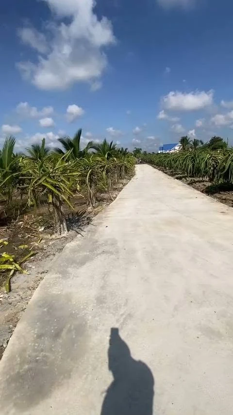 Bán đất thổ 2000m² tại Châu Thành, Long An - Ảnh thu nhỏ 3