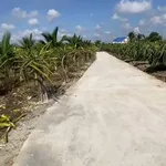 Bán đất thổ 2000m² tại Châu Thành, Long An - Ảnh thu nhỏ 3