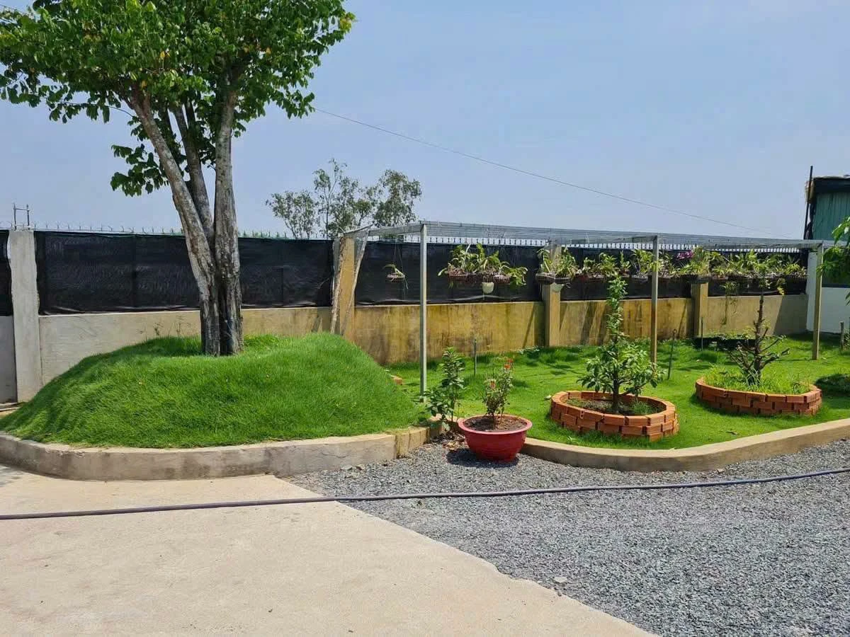Bán nhà vườn kho 1123m² Bình Lợi, Bình Chánh 4,6 tỷ - Ảnh thu nhỏ 3