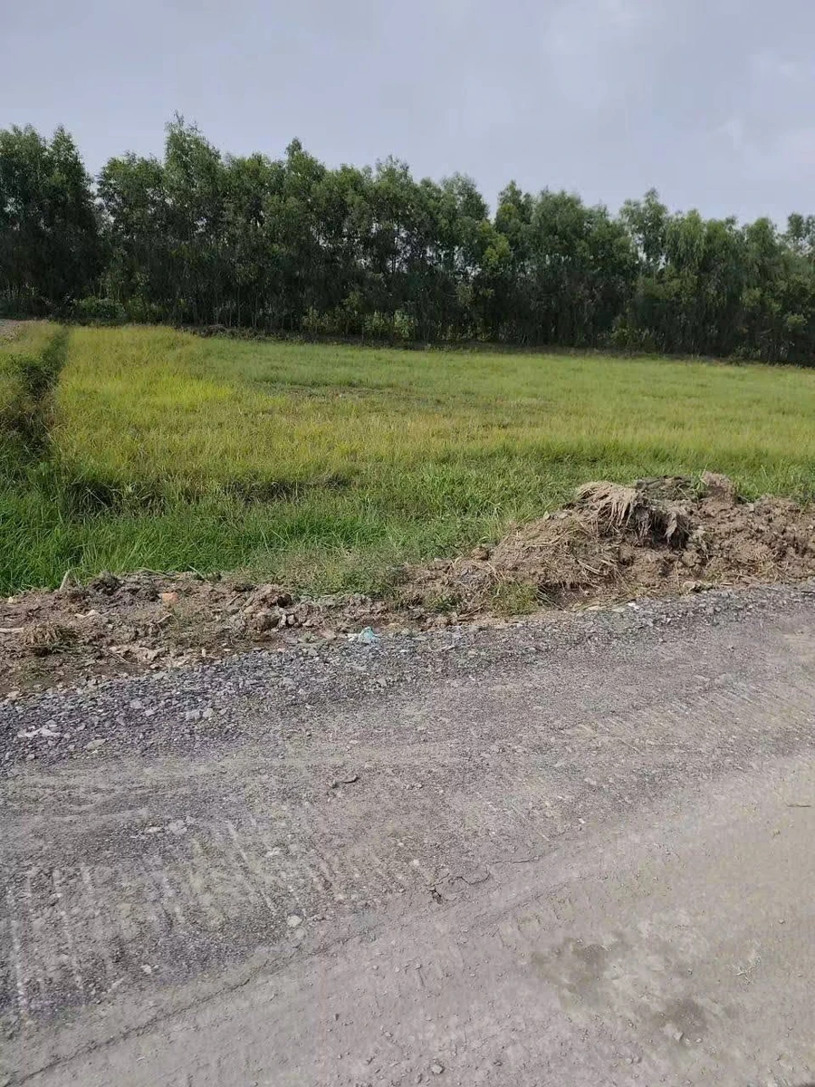 Bán đất vườn 10x50m (500m2) giá 900 triệu tại ấp 1, Đức Hòa, Tây Ninh - Ảnh thu nhỏ 3