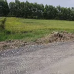 Bán đất vườn 10x50m (500m2) giá 900 triệu tại ấp 1, Đức Hòa, Tây Ninh - Ảnh thu nhỏ 3