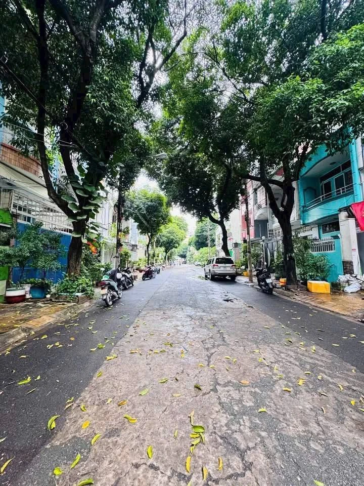 Bán nhà phố Cư xá Nguyên Hồng, Bình Thạnh, 64m², 3 PN, 15,8 tỷ - Ảnh thu nhỏ 2