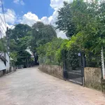Bán đất mặt tiền Thích Tịnh Khiết Huế 100m2, giá 2 tỷ - Ảnh thu nhỏ 5