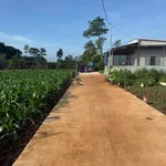Bán đất 280m² tại Bình Giã, Nhà Bè, 790 triệu - Ảnh thu nhỏ 1