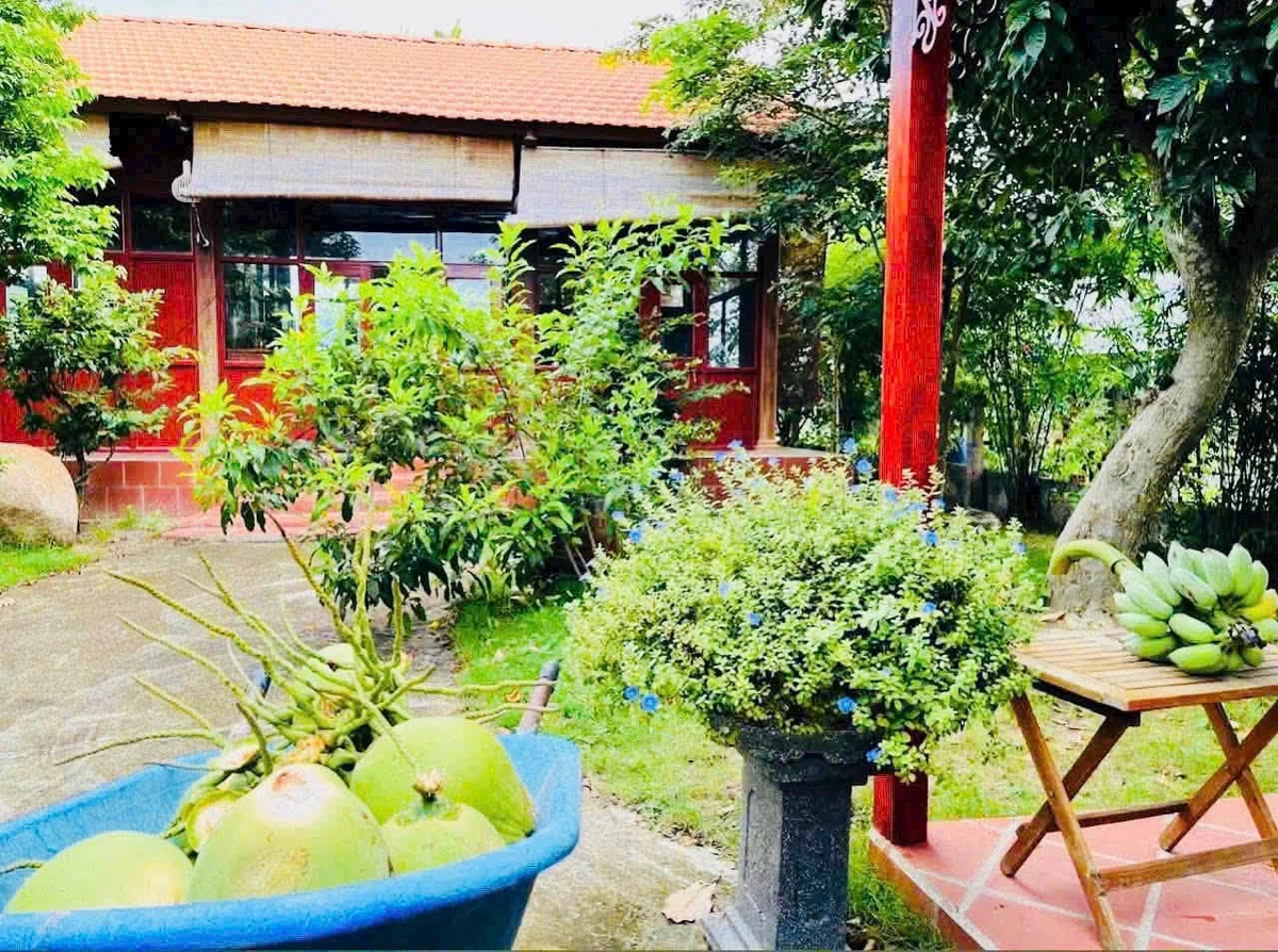 Bán đất vườn 1.333m² Thôn 5 Hàm Liêm 1 tỷ 500 - Ảnh thu nhỏ 3