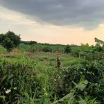 Bán đất Bàu Hàm 1000m2 giá 950 triệu - Ảnh thu nhỏ 2
