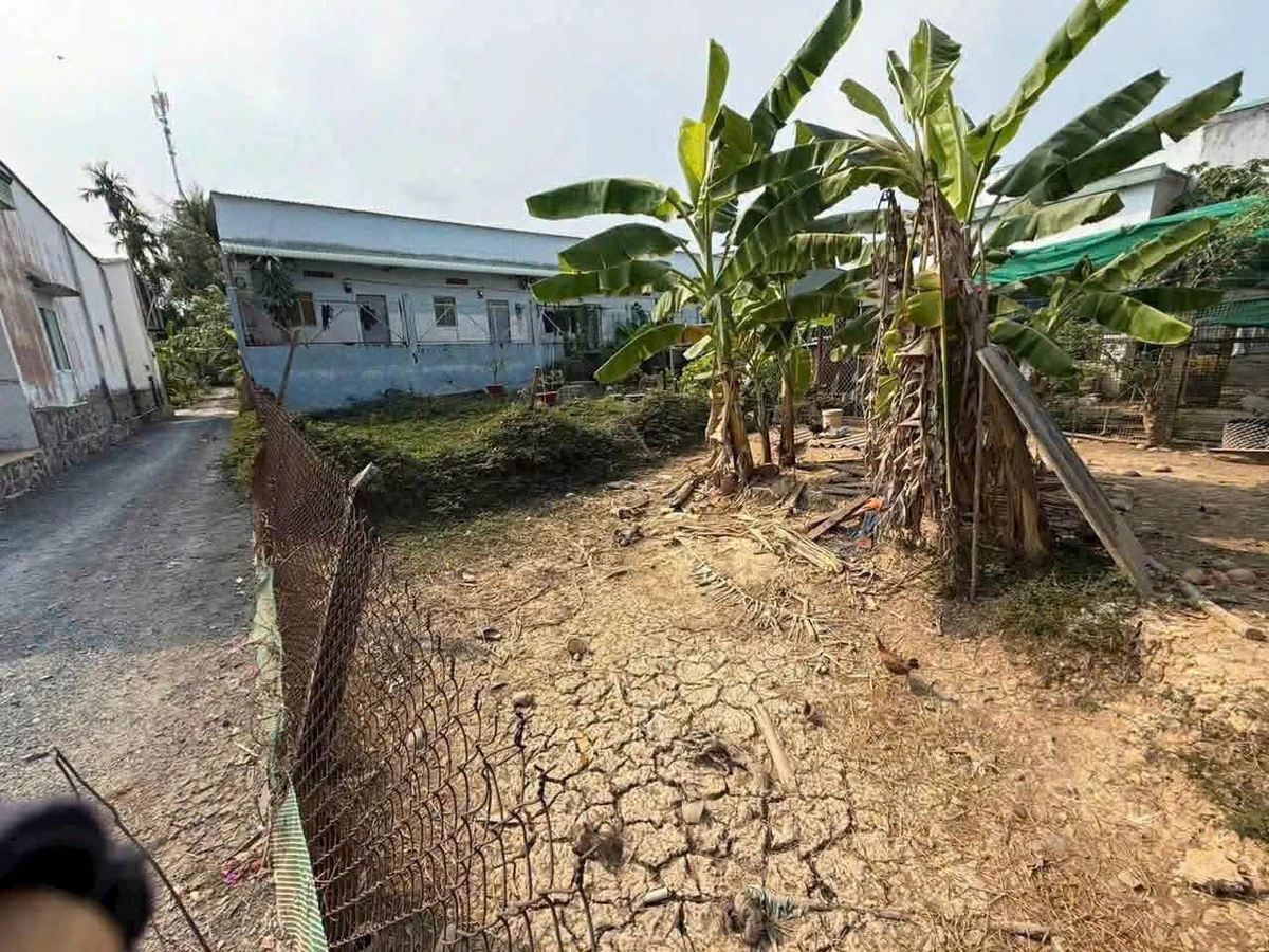 Bán lô đất thổ cư 192m² Xã Lương Hòa, Bến Lức, Long An - Ảnh thu nhỏ 3