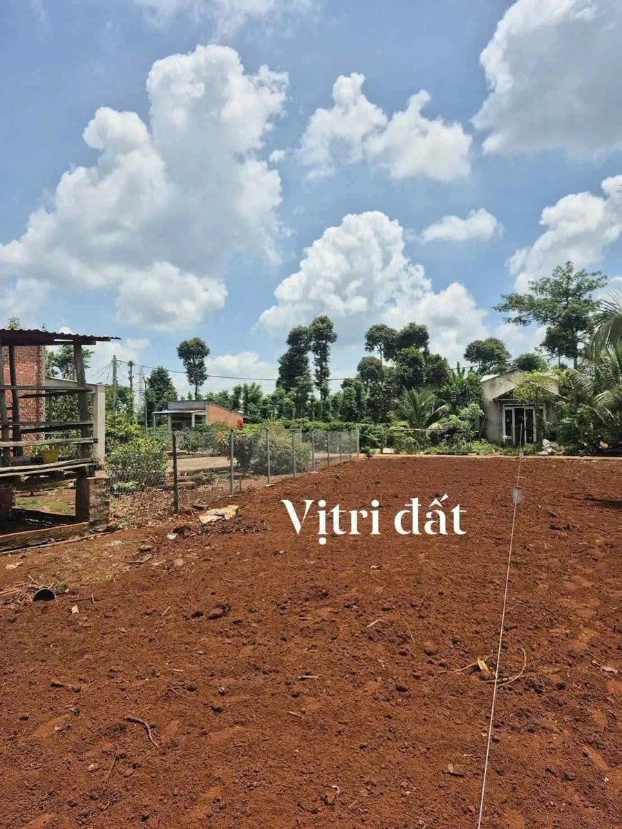 Bán đất 1200m2 mặt tiền 8m Châu Đức Nhà Bè - Ảnh 1