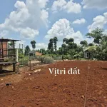 Bán đất 1200m2 mặt tiền 8m Châu Đức Nhà Bè - Ảnh thu nhỏ 1