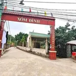 Bán đất thổ cư 5x60m (300m2) Ấp 1 Long Định, Cần Đước, Long An gần KCN Thuận Đạo - Ảnh thu nhỏ 1