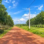 Bán đất 1,44ha mặt tiền 97m Đồng Xoài, Bình Phước - 10 tỷ 568 triệu - Ảnh thu nhỏ 1