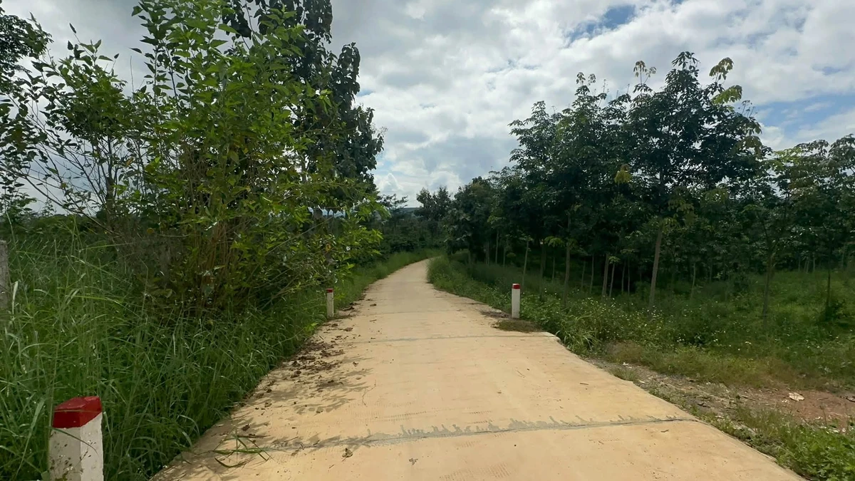Bán đất 200m² Buôn Dốc Linh, Lâm Đồng, 3 tỷ 6 - Ảnh thu nhỏ 4