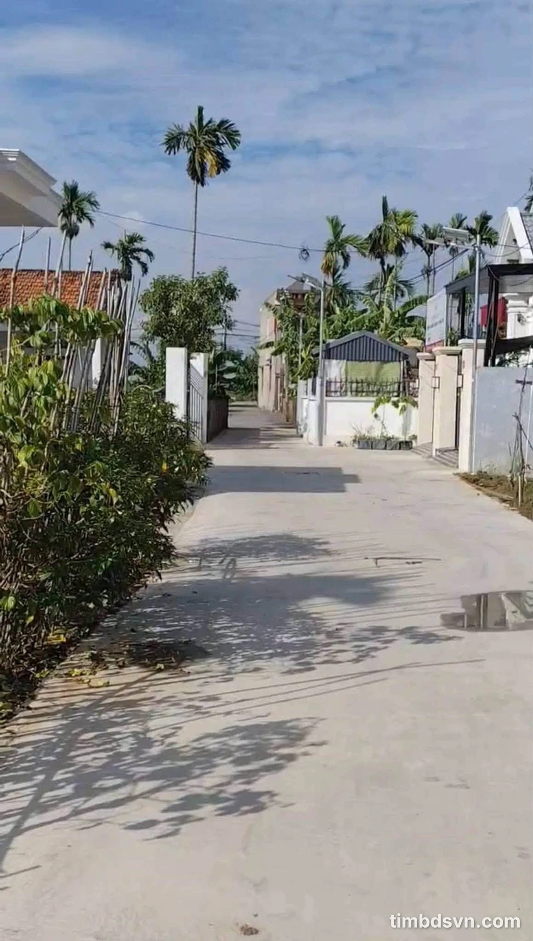 Bán đất 109 m² Phường An Hải 2 tỷ - Ảnh 1