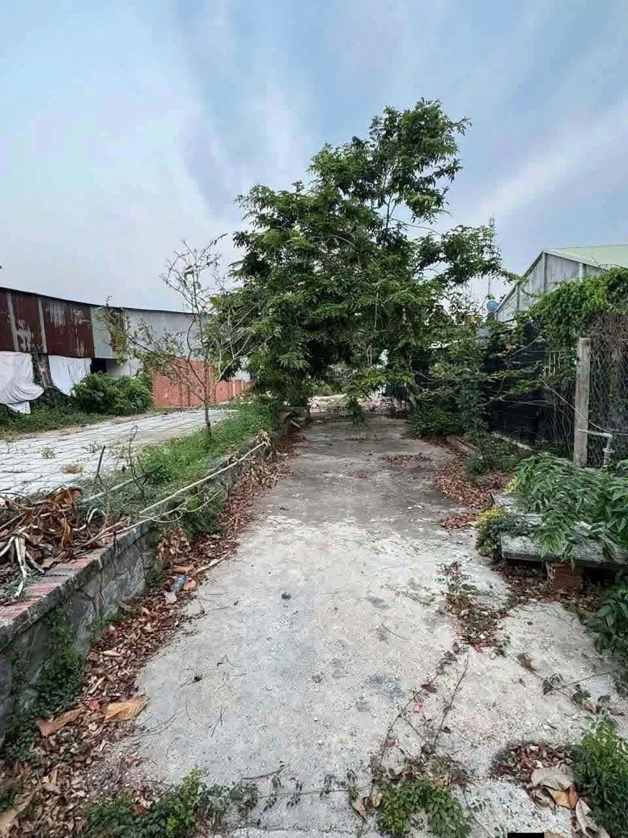 Bán đất Trần Văn Trà Tây Ninh 440m² 1 tỷ 6 - Ảnh thu nhỏ 2