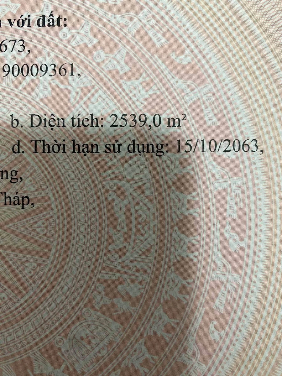 Bán 2500m² đất nông nghiệp Hòa Long Mới 480 triệu - Ảnh thu nhỏ 2