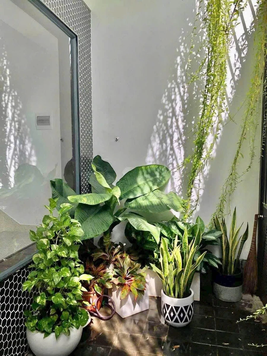 Bán nhà 1T1L 90.6m2 Tôn Đức Thắng Lâm Đồng - Ảnh thu nhỏ 5
