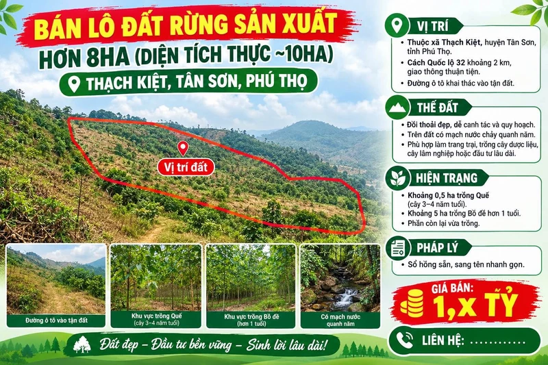 Bán lô đất rừng sản xuất hơn 10 ha Tân Sơn Phú Thọ
