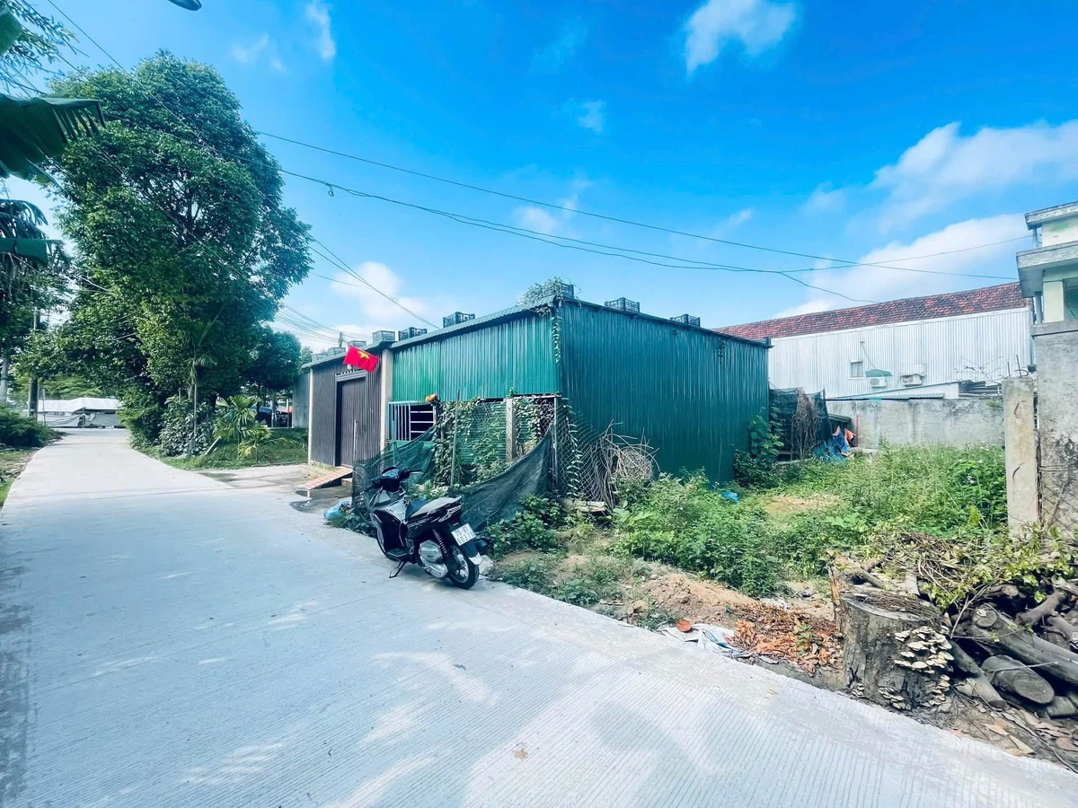 Bán lô đất 89m2 đường 7m thông thoáng Cẩm Thành - Ảnh thu nhỏ 3