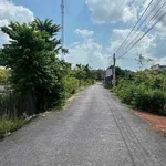 Bán đất mặt tiền đường nhựa 10x32,7m, thổ cư 60m2, xã Tân Phú, Tân Châu, Tây Ninh - Ảnh thu nhỏ 2