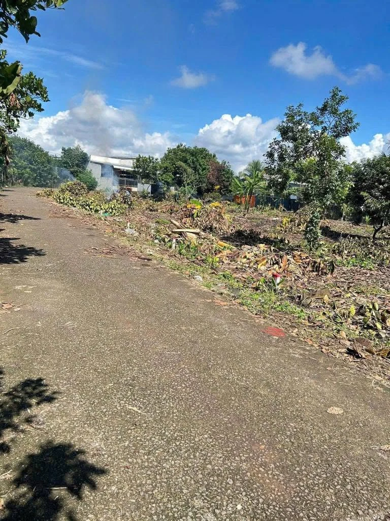 Bán đất Bình Lộc 140m², sổ riêng, 650 triệu - Ảnh thu nhỏ 2