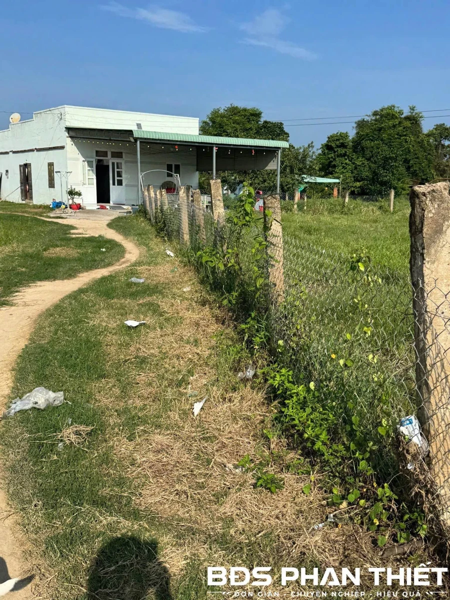 Bán đất vườn Ma Lâm 1.000 m² - Ảnh 1