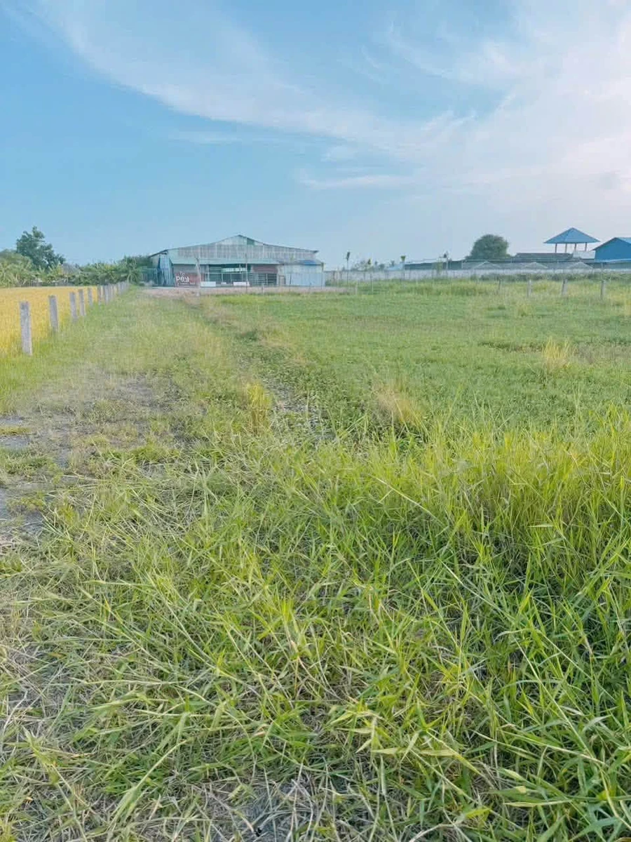 Bán lô đất 1000m2 tại Phường Hàm Thắng, Phan Thiết, 1,15 tỷ - Ảnh thu nhỏ 3
