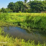 Bán đất ven biển Mũi Dinh Khánh Hòa 3000m2 600 triệu - Ảnh thu nhỏ 4