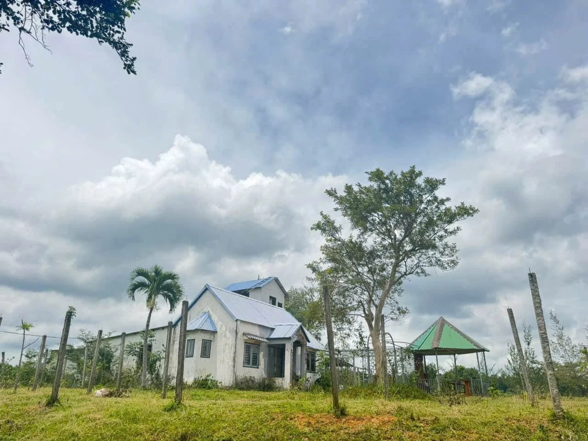 Bán đất nông nghiệp 2ha Eakao, Buôn Ma Thuột, 400 triệu/sào - Ảnh 1